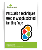 Thumbnail of Smart Insights annotated PDF