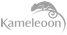 Kameleoon