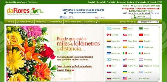 daFlores homepage. daFlores homepage.